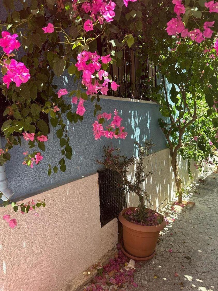 Casa Magnolia Boutique Rooms Kuşadası Exterior photo