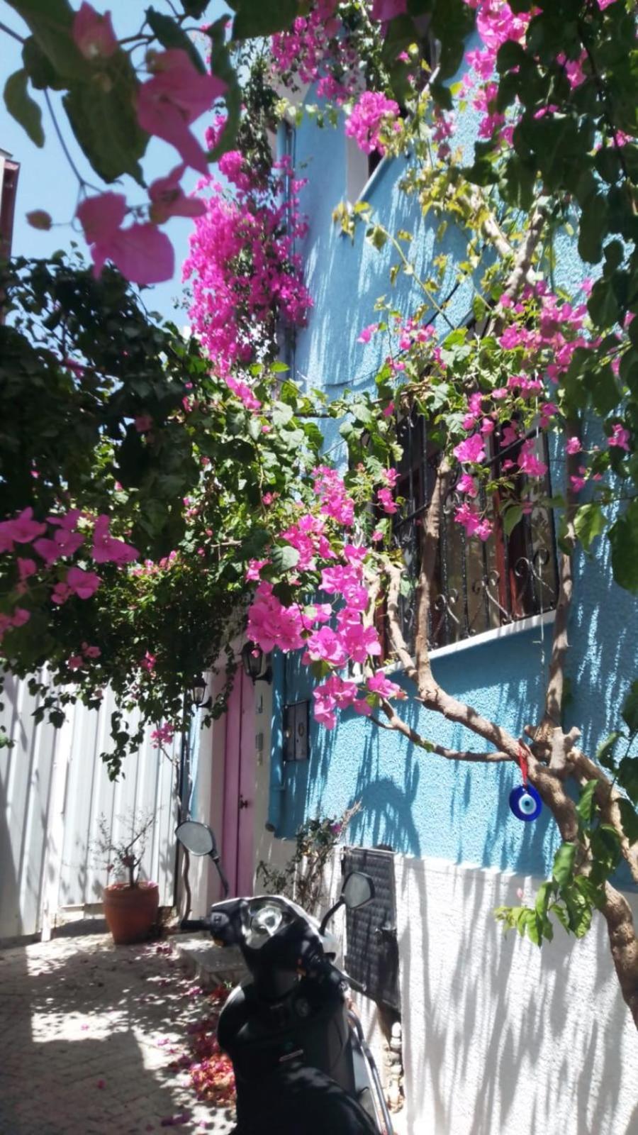 Casa Magnolia Boutique Rooms Kuşadası Exterior photo