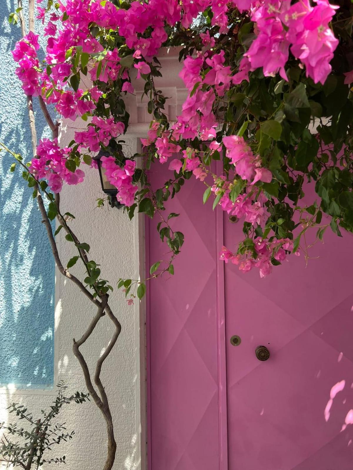 Casa Magnolia Boutique Rooms Kuşadası Exterior photo