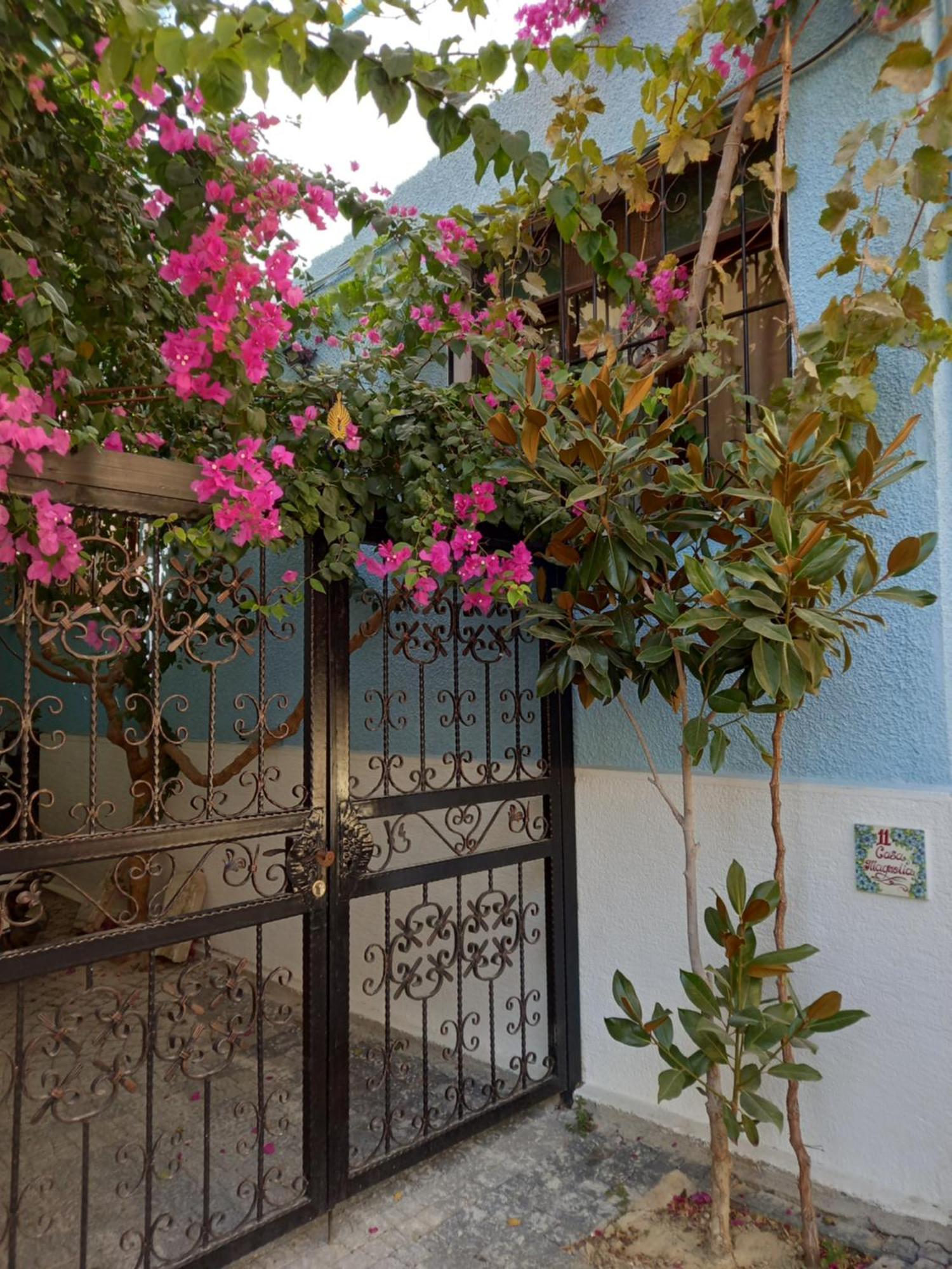 Casa Magnolia Boutique Rooms Kuşadası Exterior photo